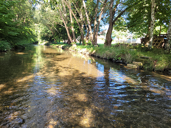 Blick auf die Wesenitz